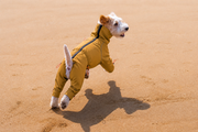 AURAPAW Alpine Shield Full-Body Dog Jacket