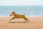 AURAPAW Alpine Shield Full-Body Dog Jacket