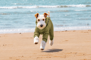 AURAPAW Alpine Shield Full-Body Dog Jacket