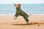 AURAPAW Alpine Shield Full-Body Dog Jacket