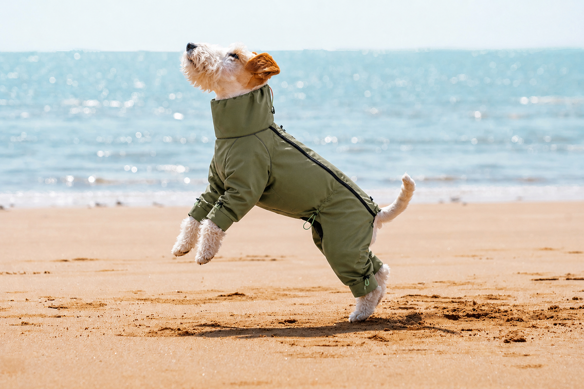 AURAPAW Alpine Shield Full-Body Dog Jacket