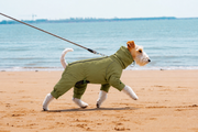 AURAPAW Alpine Shield Full-Body Dog Jacket