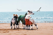AURAPAW TrailFlex Waterproof Four-Leg Dog Jacket